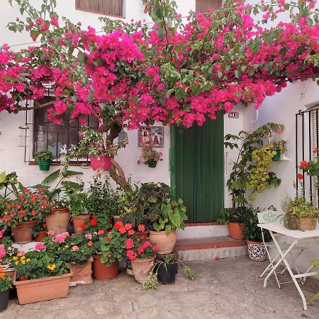 La buganvilla de Juana y Antonio Casares Exterior foto