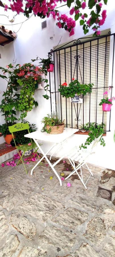 La buganvilla de Juana y Antonio Casares Exterior foto