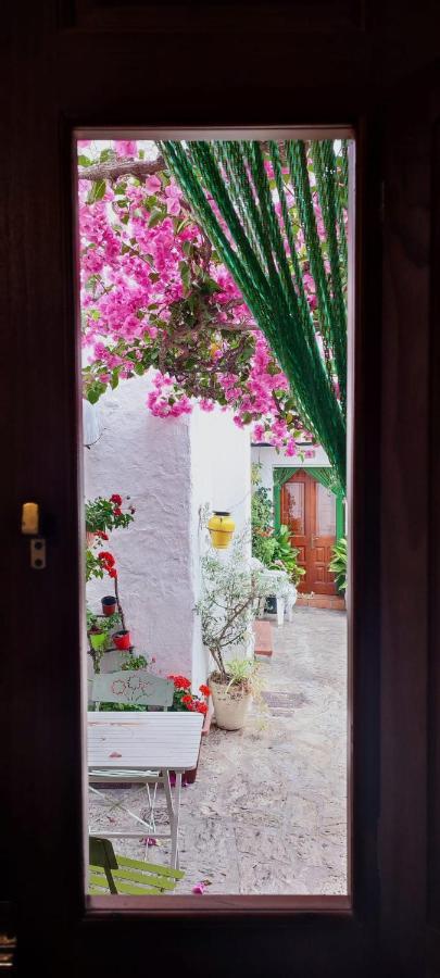 La buganvilla de Juana y Antonio Casares Exterior foto