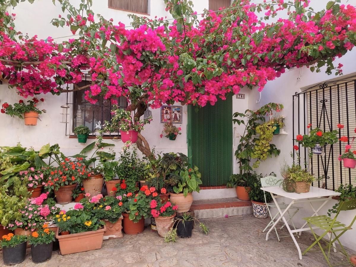 La buganvilla de Juana y Antonio Casares Exterior foto